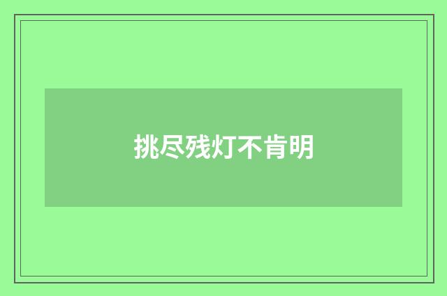 挑尽残灯不肯明