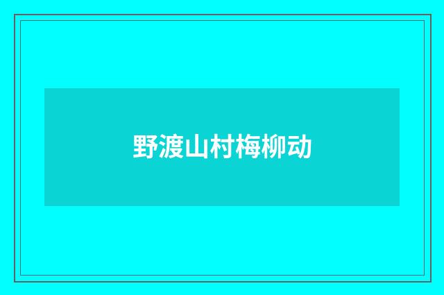 野渡山村梅柳动