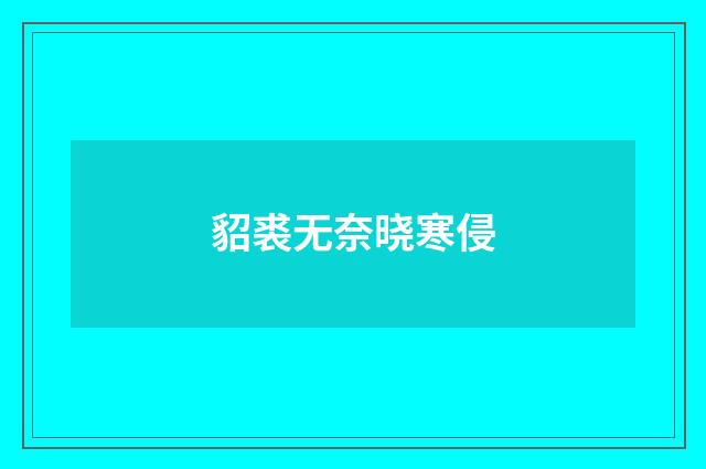 貂裘无奈晓寒侵