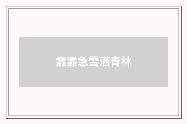 霏霏急雪洒青林