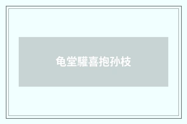 龟堂驩喜抱孙枝