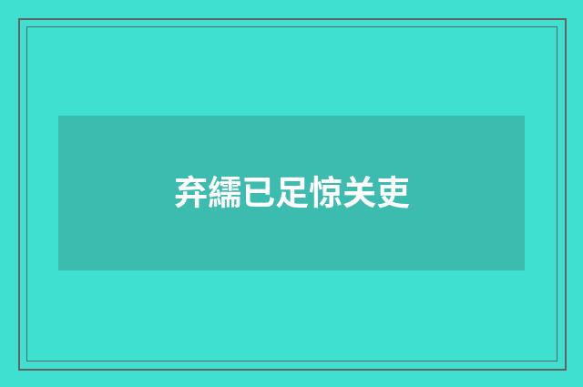 弃繻已足惊关吏