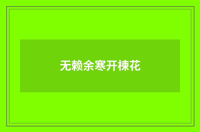 无赖余寒开楝花