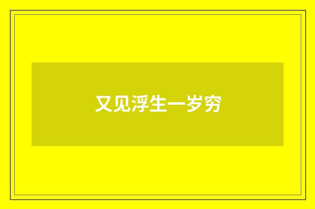 又见浮生一岁穷