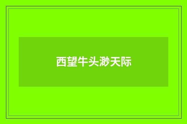西望牛头渺天际