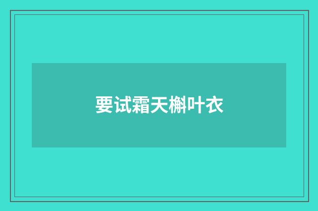 要试霜天槲叶衣