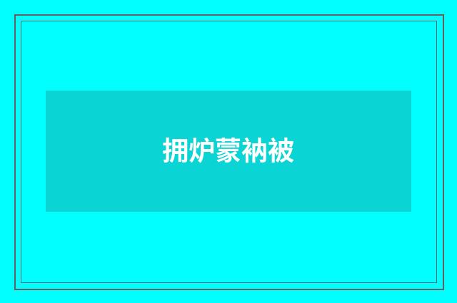 拥炉蒙衲被