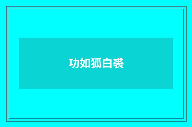 功如狐白裘