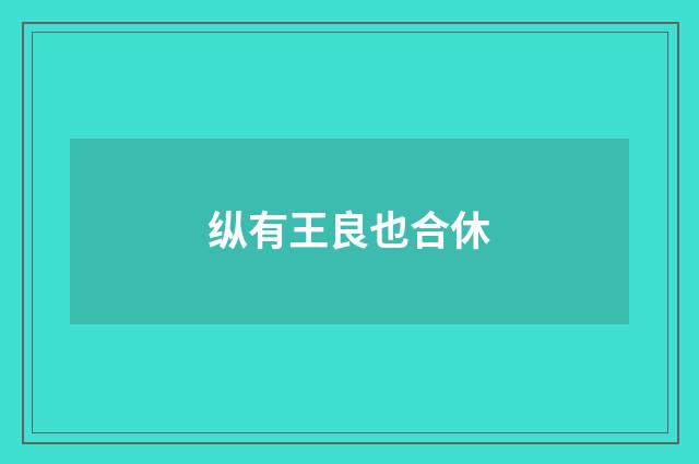 纵有王良也合休