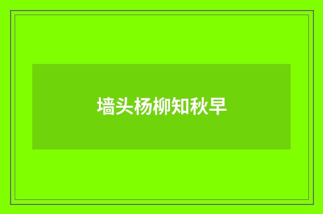墙头杨柳知秋早