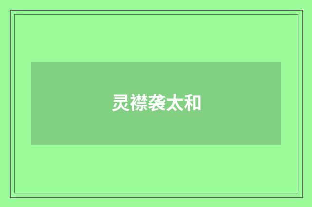 灵襟袭太和