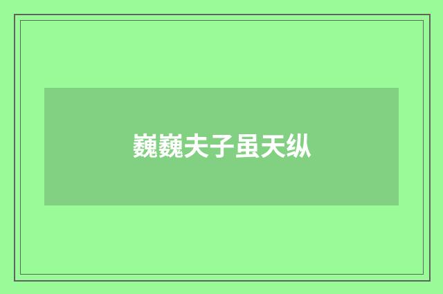 巍巍夫子虽天纵
