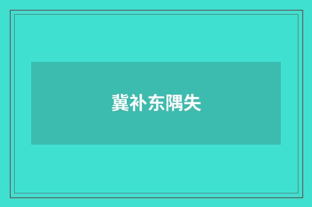 冀补东隅失