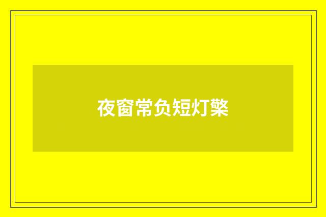 夜窗常负短灯檠