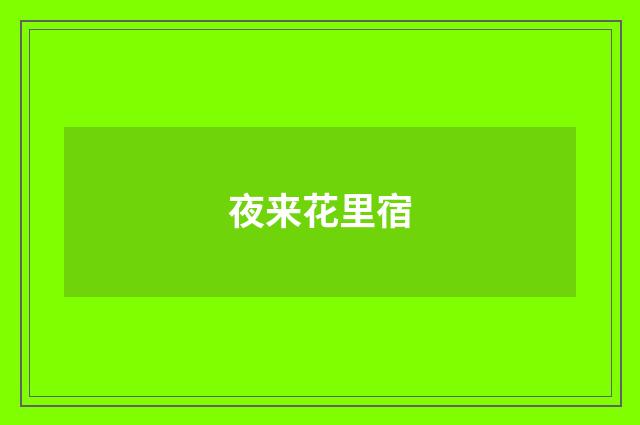 夜来花里宿