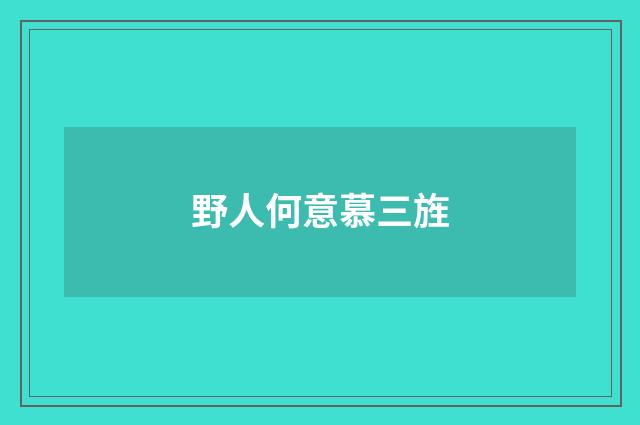 野人何意慕三旌