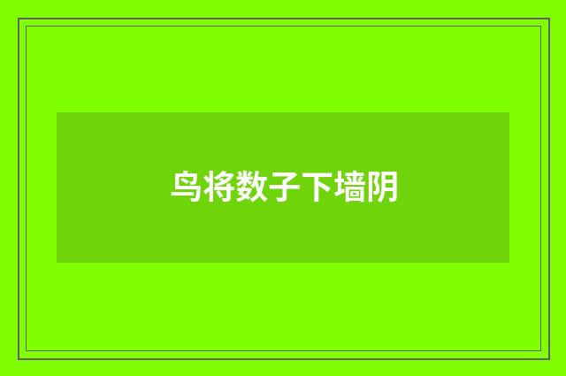 鸟将数子下墙阴