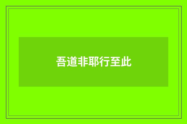 吾道非耶行至此