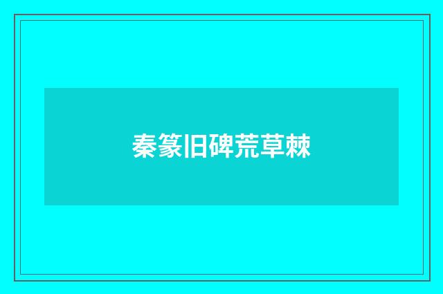 秦篆旧碑荒草棘