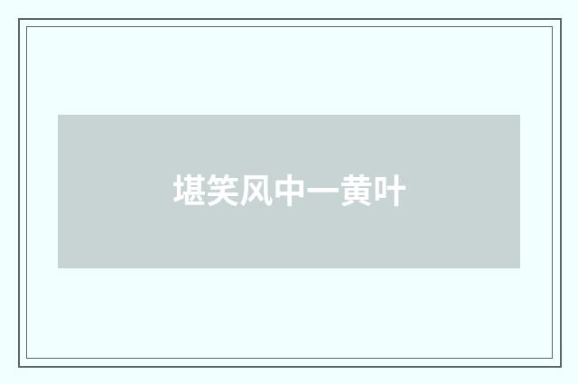 堪笑风中一黄叶
