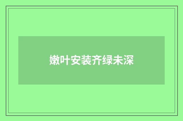 嫩叶安装齐绿未深