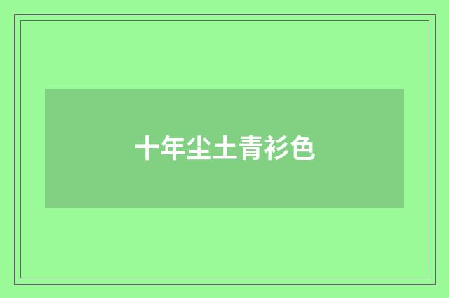 十年尘土青衫色