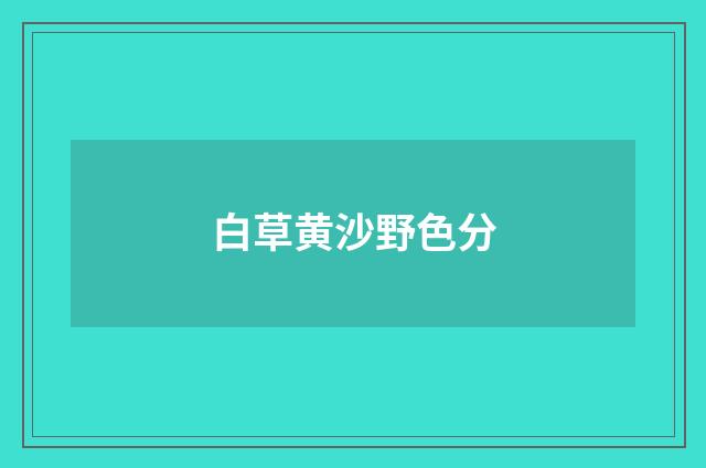 白草黄沙野色分
