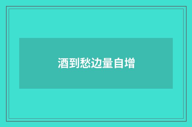 酒到愁边量自增