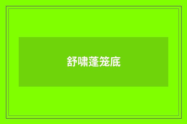 舒啸蓬笼底