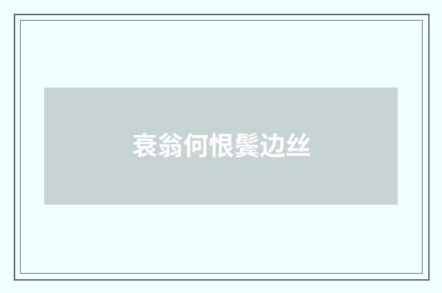衰翁何恨鬓边丝