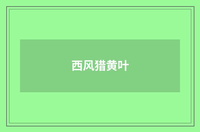 西风猎黄叶