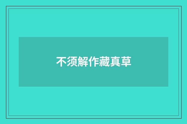 不须解作藏真草