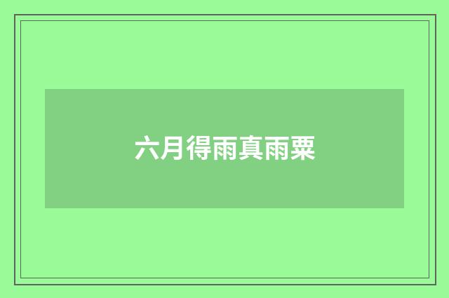 六月得雨真雨粟