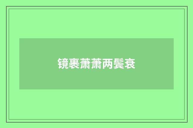 镜裹萧萧两鬓衰