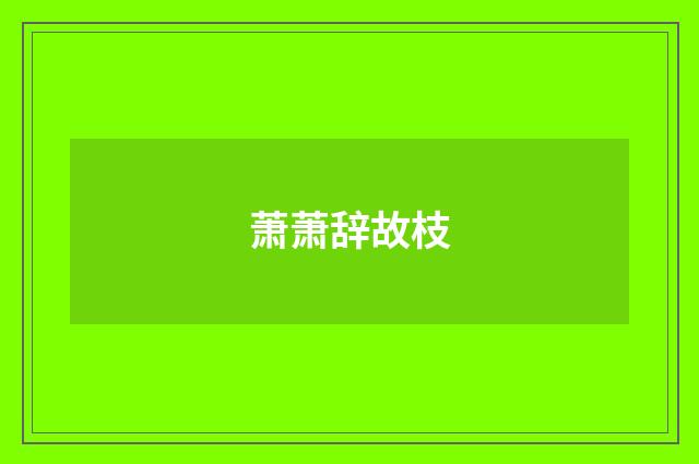 萧萧辞故枝