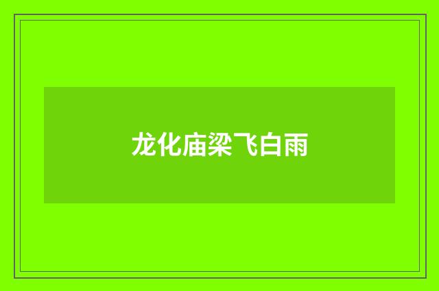 龙化庙梁飞白雨