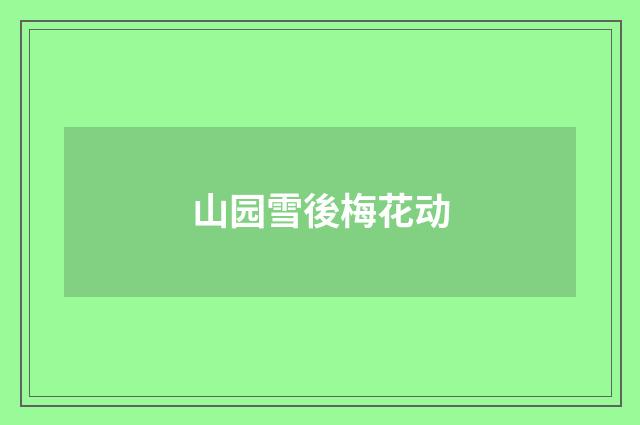山园雪後梅花动