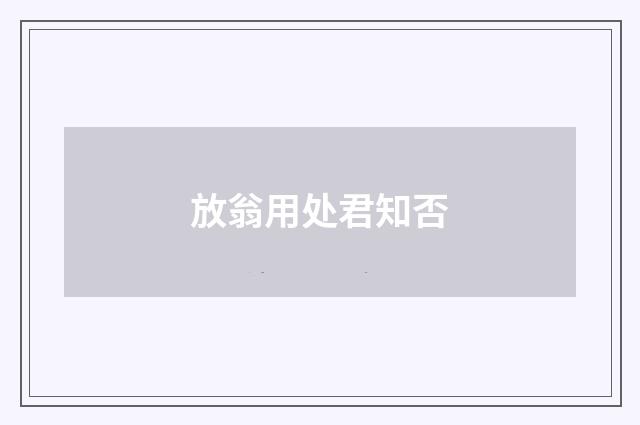放翁用处君知否
