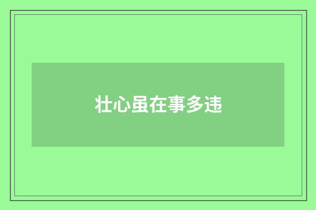 壮心虽在事多违