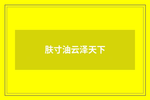 肤寸油云泽天下