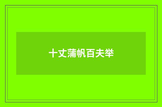 十丈蒲帆百夫举