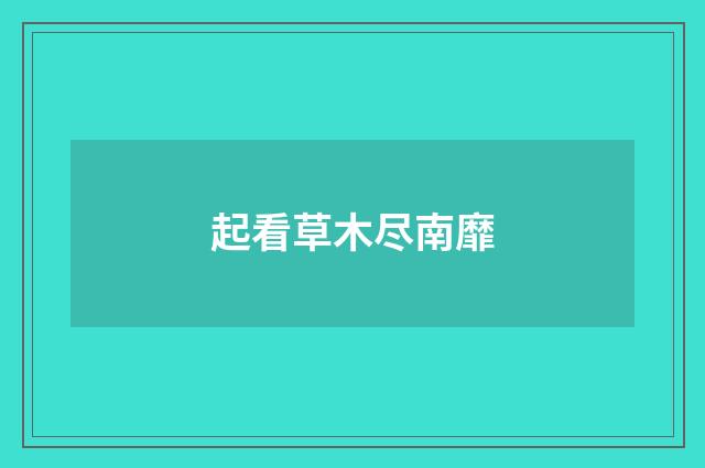起看草木尽南靡