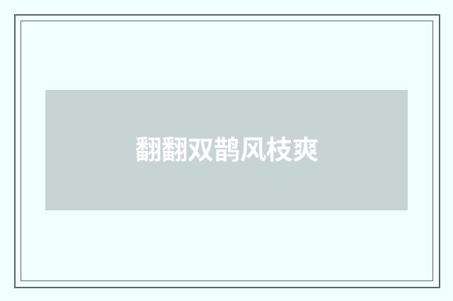 翻翻双鹊风枝爽