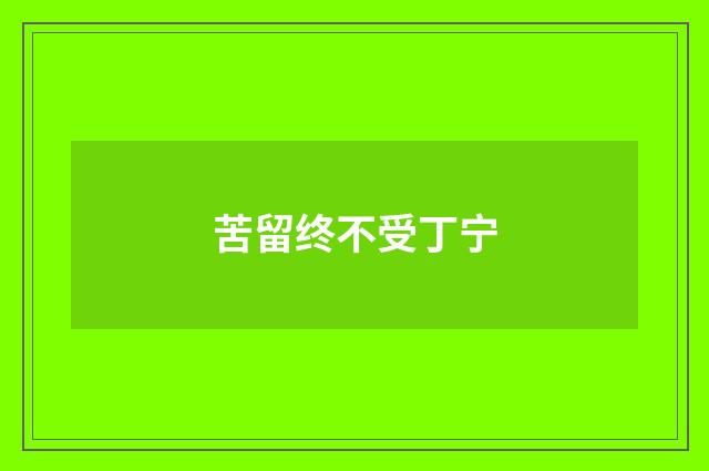 苦留终不受丁宁