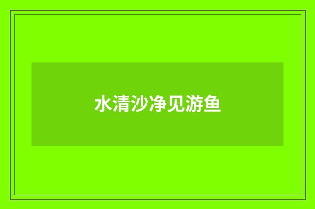 水清沙净见游鱼