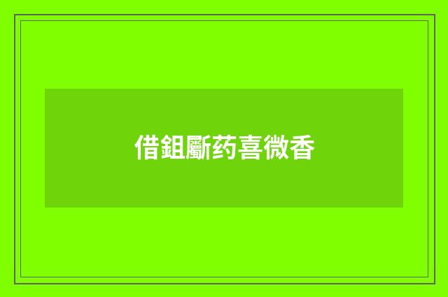 借鉏斸药喜微香