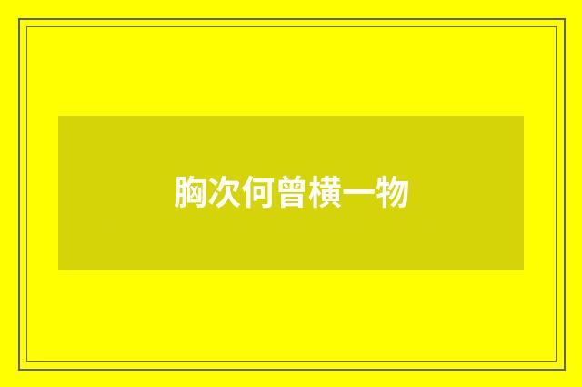 胸次何曾横一物
