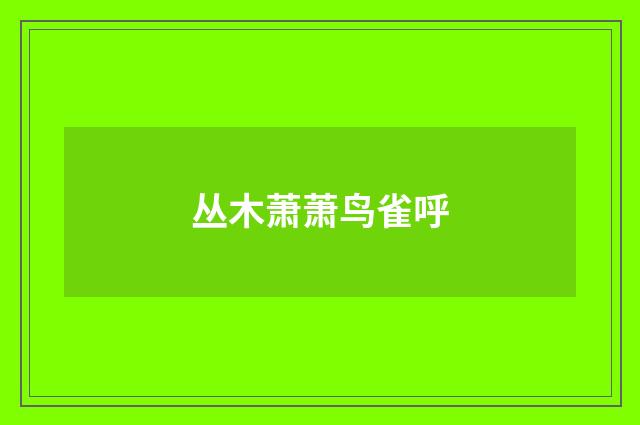 丛木萧萧鸟雀呼