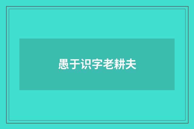 愚于识字老耕夫
