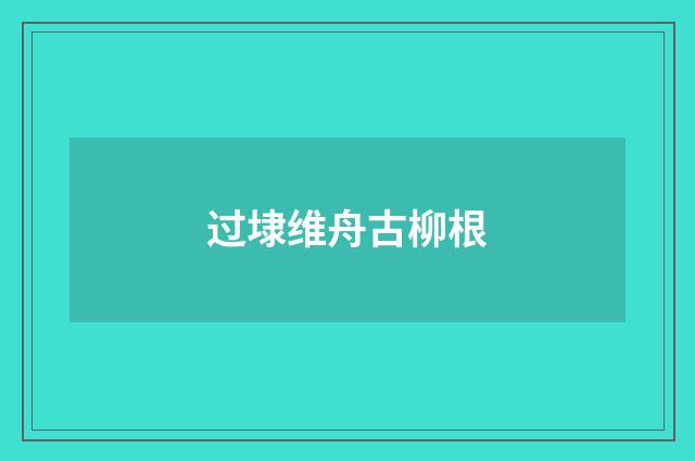 过埭维舟古柳根